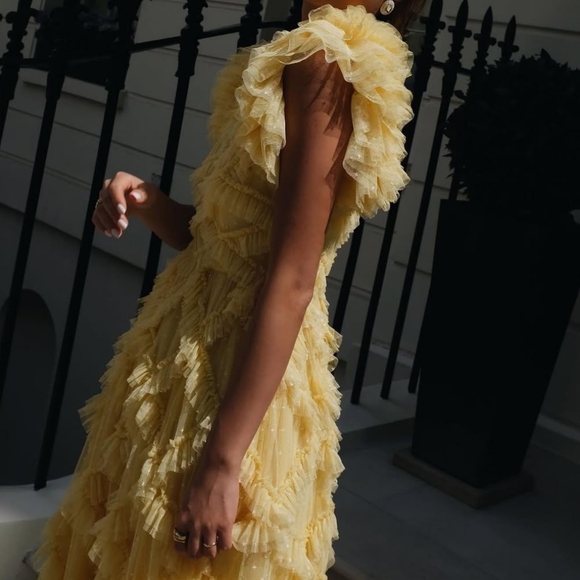 BHLDN Needle & Thread Dress size US 6 $749 - Picture 3 of 11